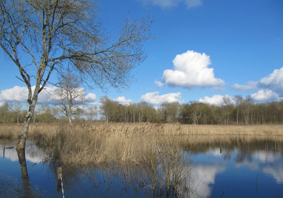 Cré-sur-Loir – le circuit bois et marais