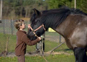 Poney Club Atou Crin