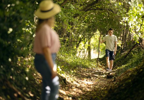 Autour du Montreteau