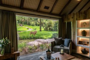 Safari Lodge – Zoo de La Flèche