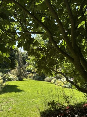 Visite du jardin de L’Ecole des Garçons