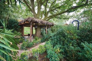 SAFARI LODGE – ZOO DE LA FLÈCHE