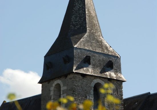 LUCEAU – LE PETIT BOIS SACRÉ