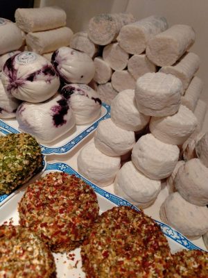 Le p’tit chèvre Sarthois