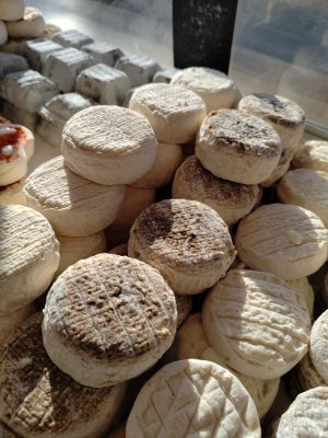 Le p’tit chèvre Sarthois