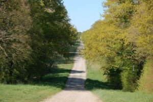 Gîte du Haras des Haies