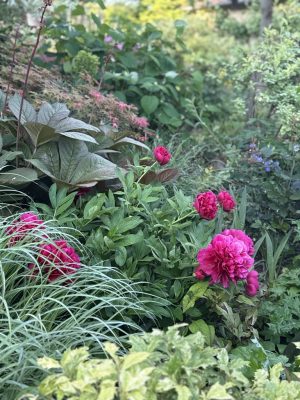 Visite du jardin de L’Ecole des Garçons