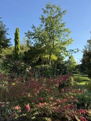 Visite du jardin de L’Ecole des Garçons