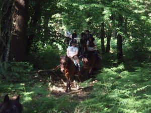 Equitation – Centre équestre de la Chataigneraie