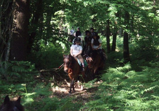 Equitation – Centre équestre de la Chataigneraie