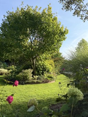 Visite du jardin de L’Ecole des Garçons