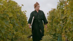 Peindre sur le motif : les vignes