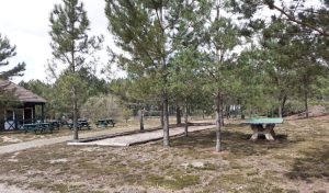 Aire Camping-car Park de Montfort-le-Gesnois, les Sittelles