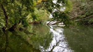 Balades commentées et guidées en barque