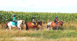 LES BRUMES PONY CLUB