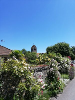 Village médieval d’Asnières-sur-Vègre