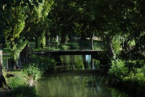Dissay-sous-Courcillon – Circuit de Vauperon