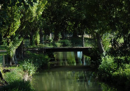 Dissay-sous-Courcillon – Circuit de Vauperon