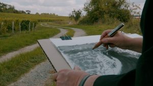 Peindre sur le motif : les vignes