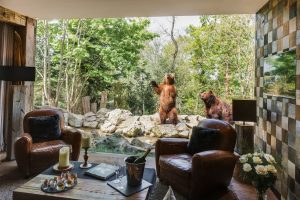 SAFARI LODGE – ZOO DE LA FLÈCHE