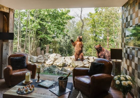 Safari Lodge – Zoo de La Flèche