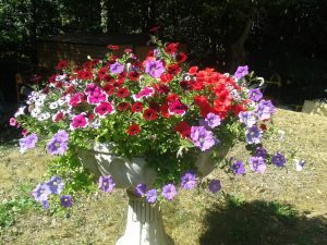 Les Rouvres