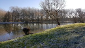 Chérancé fishing pond