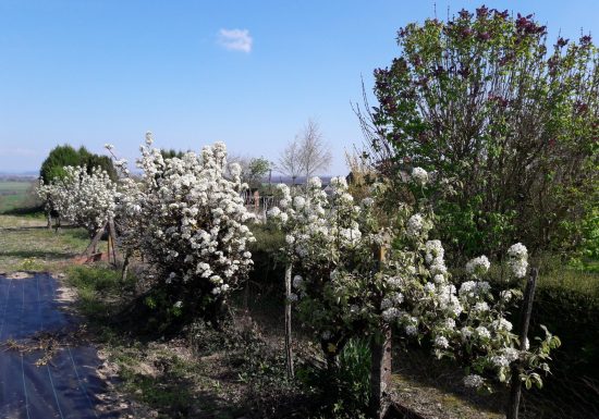 Chambres d’hôtes Chez Jos’être