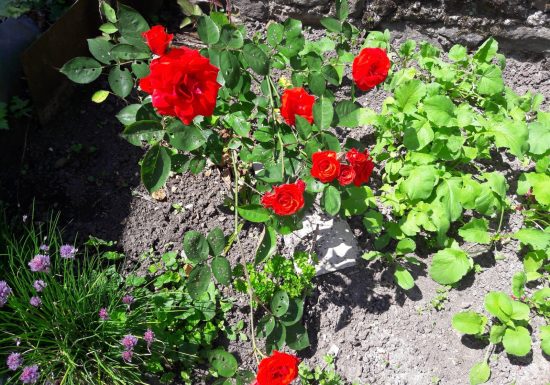 Chambres d’hôtes Chez Jos’être