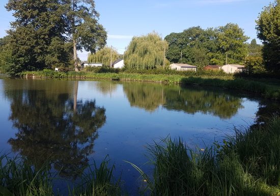 CHALETS – CAMPING DE LA CHESNAIE