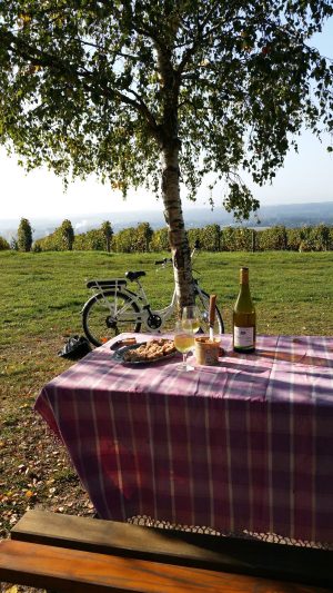 Panorama “Mon idée”