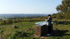 Panorama “Mon idée”