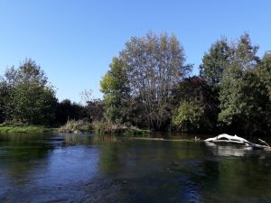 Descente du Loir ou location canoë-kayak
