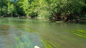 Descnete du Loir en canoë – centre nautique de Marçon