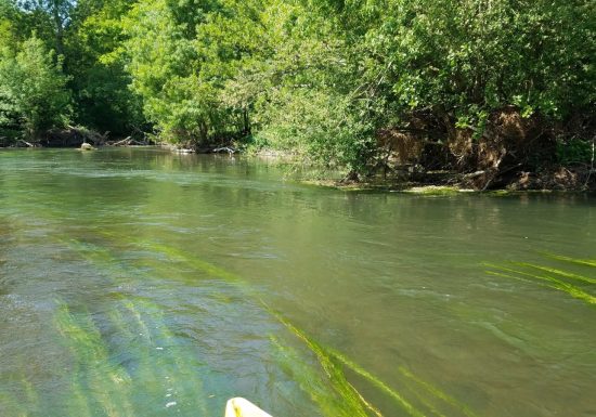 Descente du Loir en canoë – Centre Nautique de Marçon