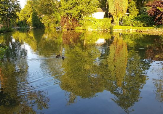 Chalets du Camping La Sittelle