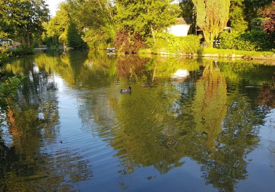 CAMPING LA SITTELLE