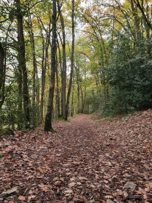 Espace Naturel Sensible du Pierrier de la Vallée de Misère