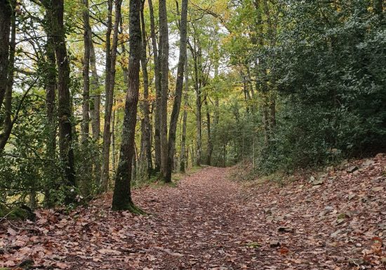 Espace Naturel Sensible du Pierrier de la Vallée de Misère