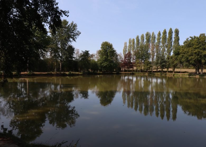 Ancinnes fishing pond