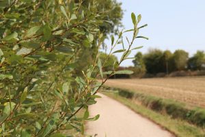 Haute Sarthe Alpes Mancelles greenway