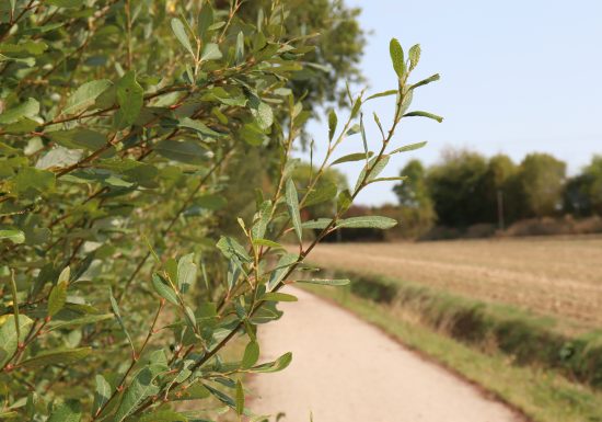 Haute Sarthe Alpes Mancelles greenway