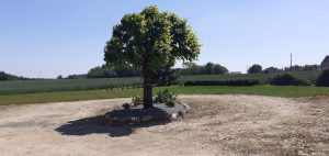 Gîte de la Campagne