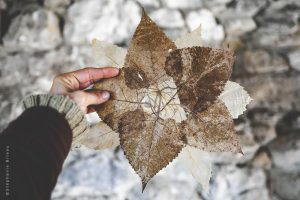 La petite fabrique de papier