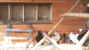 Gite de groupe – Le jardin des 4 saisons