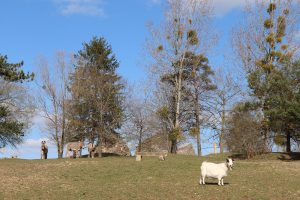 Bourg-le-Roi animal park