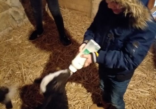 Ferme pédagogique le Moulin du Rouveau