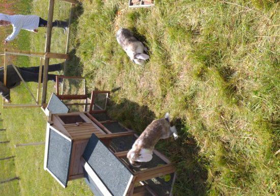 Ferme pédagogique le Moulin du Rouveau