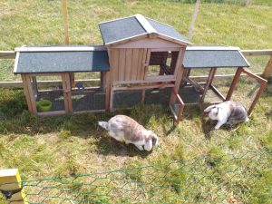 Ferme pédagogique le Moulin du Rouveau