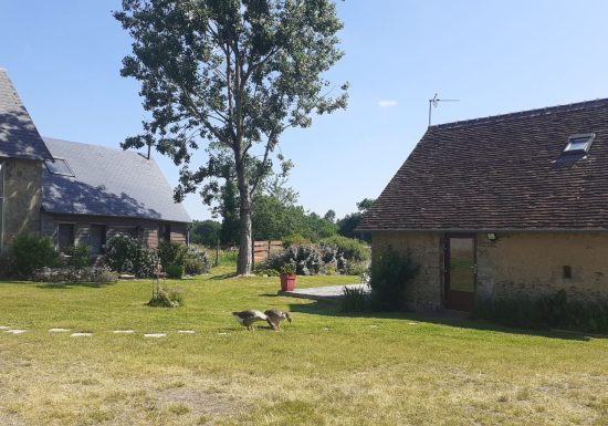 Gîte la Bretonnerie “Tulipe”